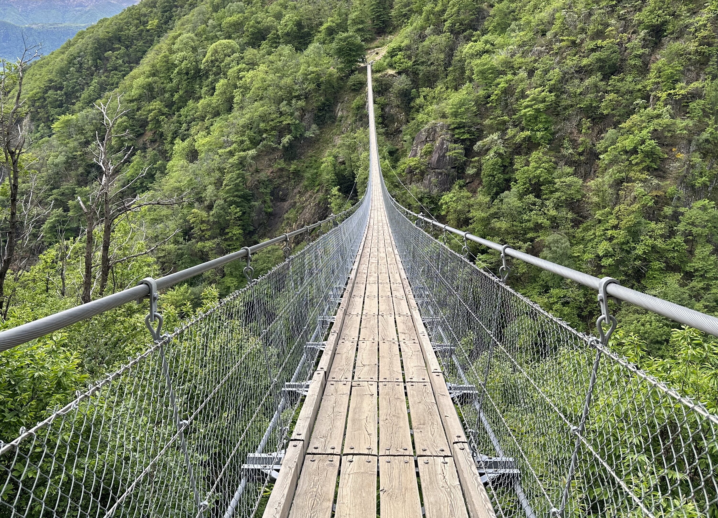 Ponte Tibetano Carasso Höhenangst