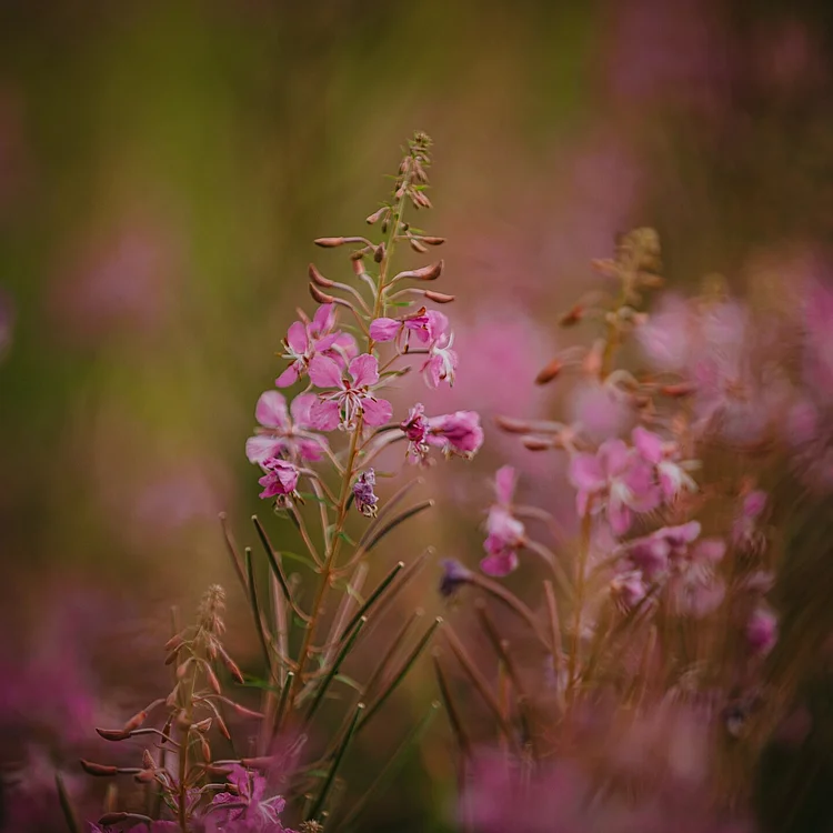 Energiearbeit für innere Balance | Lara Mandioni