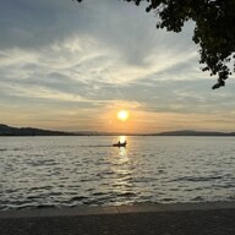 Motivation: move - release - blossom | Lara Mandioni